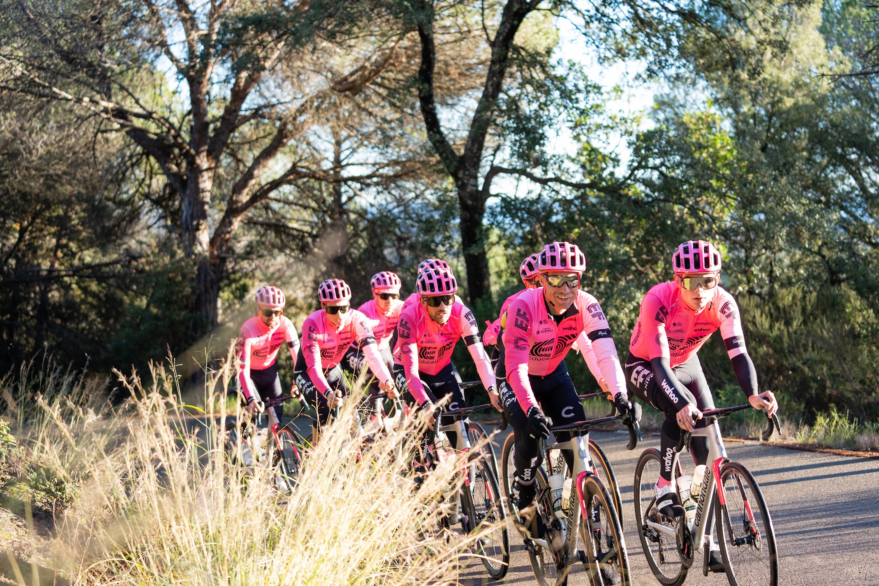 Road – Wholesale FSA | Vision