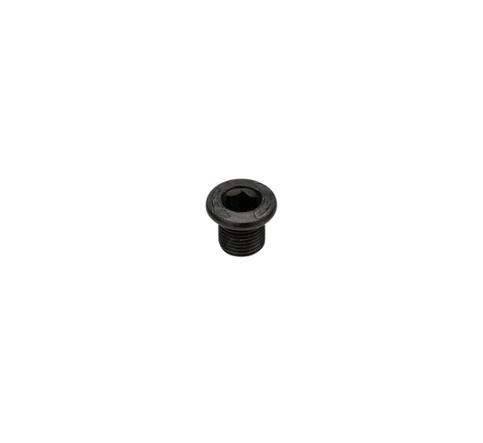 Chainring Bolt
